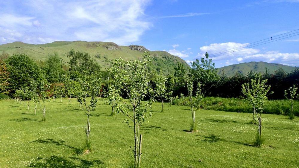 Foxglove Cottage Maybole Экстерьер фото